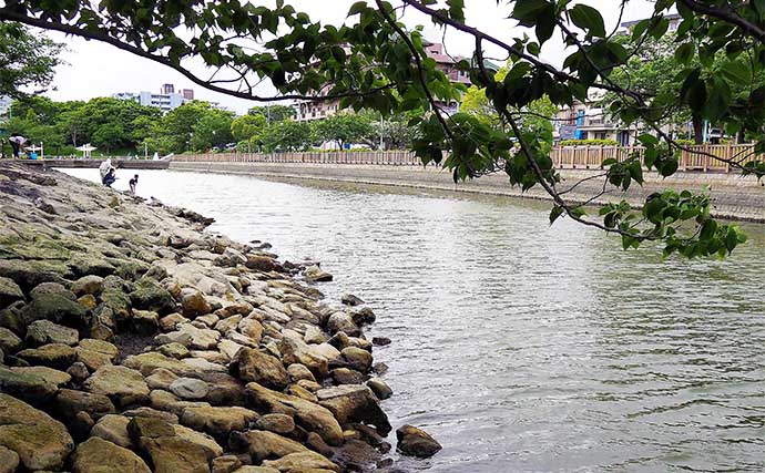 「初めてでも安心！」子供と楽しむハゼ釣り完全ガイド【道具・場所・時期を徹底解説】