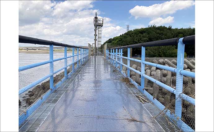 JERA海釣り桟橋のちょい投げ釣りでハゼ＆セイゴ連発！【三重】25cmサヨリも登場