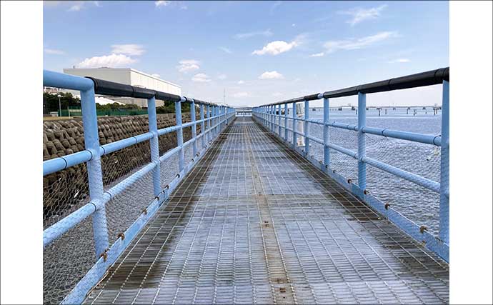 JERA海釣り桟橋のちょい投げ釣りでハゼ＆セイゴ連発！【三重】25cmサヨリも登場