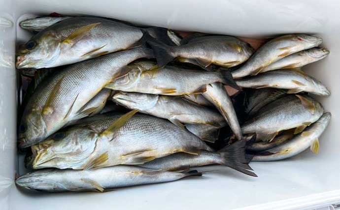 【沖釣り釣果速報】富山湾のアカムツ便で手堅くヒット！福井沖ではマイカ狙いのイカメタルで竿頭76匹も（北陸）