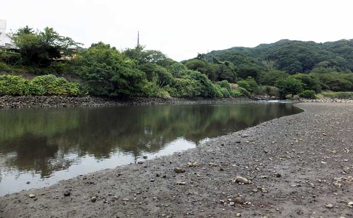「南伊豆でハゼ釣りシーズンが開幕！」青野川で小型主体に15尾をキャッチ【静岡】