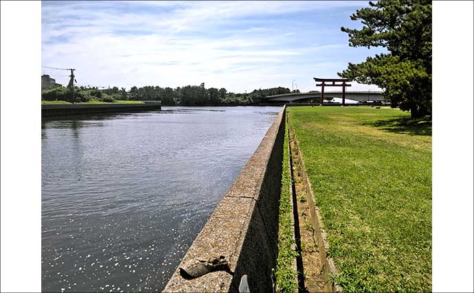 矢那川河口＆木更津港のミャク釣りでハゼ88尾手中【千葉】珍魚ウロハゼもヒット