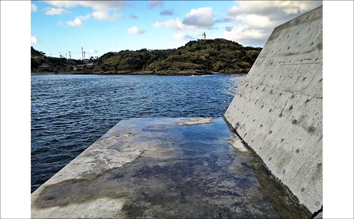 洲崎北港のウキフカセ釣りで50cmコロダイをキャッチ！【千葉】クロダイ32cmも登場