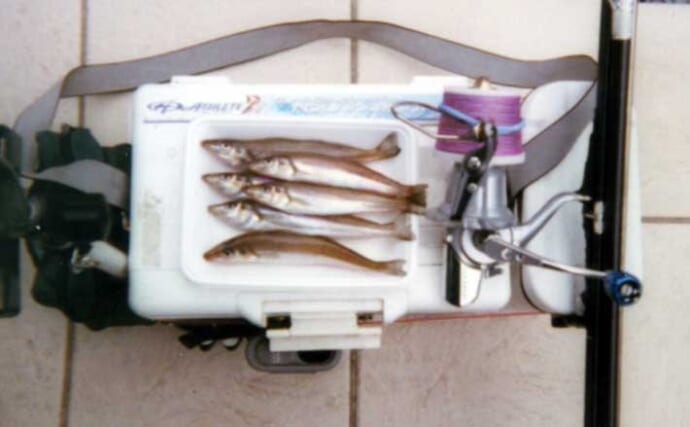 清水港のちょい投げ釣りで良型20cm含むシロギス6尾手中【静岡】カケアガリ攻略＆日陰確保が勝因