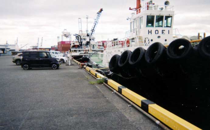 清水港のちょい投げ釣りで良型20cm含むシロギス6尾手中【静岡】カケアガリ攻略＆日陰確保が勝因