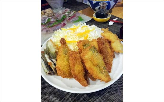 東京湾奥LTアジで船デビュー成功！【神奈川・渡辺釣船店】良型まじりで計33尾キャッチ