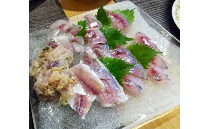 東京湾奥LTアジで船デビュー成功！【神奈川・渡辺釣船店】良型まじりで計33尾キャッチ