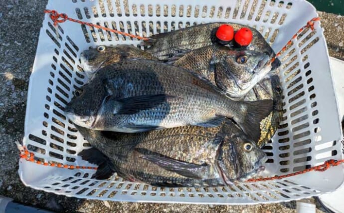 「高性能なのに安価！」チヌ釣り用ウキ『翔黒X』の4つの魅力とオススメの使い方とは？