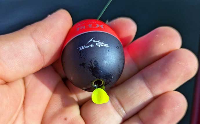 「高性能なのに安価！」チヌ釣り用ウキ『翔黒X』の4つの魅力とオススメの使い方とは？