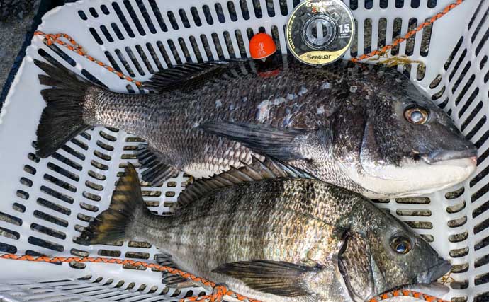 「高性能なのに安価！」チヌ釣り用ウキ『翔黒X』の4つの魅力とオススメの使い方とは？