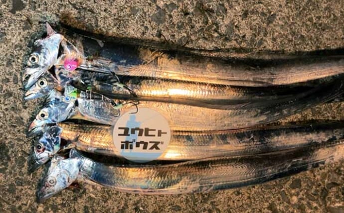 コロコロ変わるレンジと甘噛みに苦戦！ 大阪湾波止タチウオ釣りで5匹キャッチ
