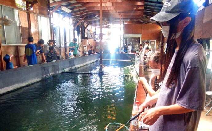 『常盤つり堀センター』への子連れ釣行でコイ混じりにキンギョ100尾超え達成！【東京・町田】