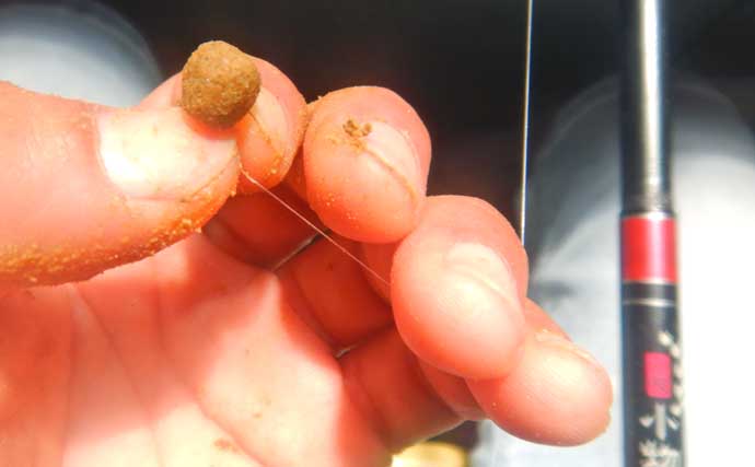 『常盤つり堀センター』への子連れ釣行でコイ混じりにキンギョ100尾超え達成！【東京・町田】