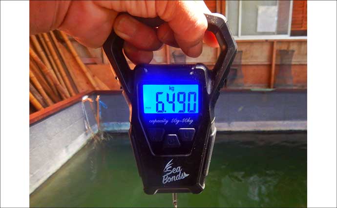 『常盤つり堀センター』への子連れ釣行でコイ混じりにキンギョ100尾超え達成！【東京・町田】