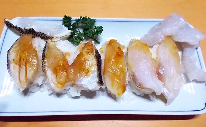 明石沖ボートルアーマゴチ釣行で56cm本命をキャッチ【兵庫】赤のグローカラーにヒット