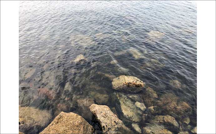 「水深50cm以下の激浅でも魚は釣れる！」超浅場のライトロックゲームのススメ