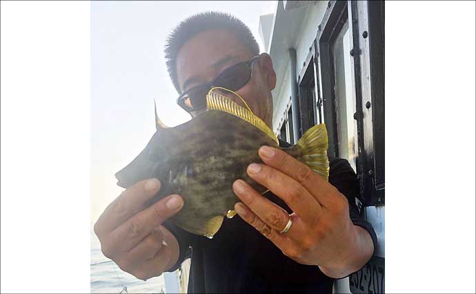 関西エリアの【船釣り特選釣果】イカメタル便でシロイカ快釣！竿頭は連日50匹超え