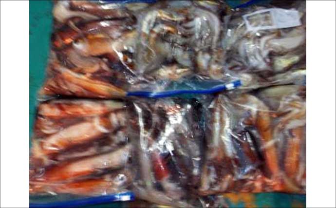 関西エリアの【船釣り特選釣果】イカメタル便でシロイカ快釣！竿頭は連日50匹超え