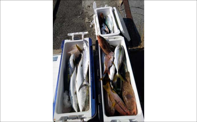 関西エリアの【船釣り特選釣果】イカメタル便でシロイカ快釣！竿頭は連日50匹超え