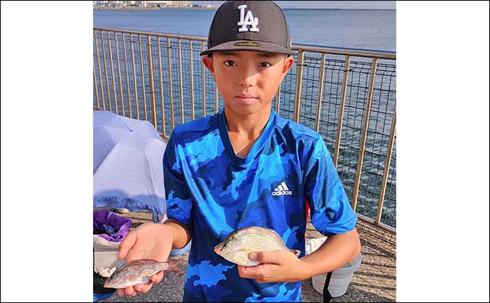 うみかぜ公園横の護岸での釣果を釣り人に聞いてみた【神奈川】タチウオ＆アジは9月以降に期待