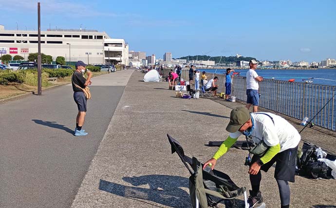 うみかぜ公園横の護岸での釣果を釣り人に聞いてみた【神奈川】タチウオ＆アジは9月以降に期待