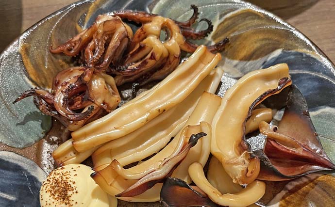 鹿島沖のナイトイカメタルゲームでスジイカ37尾手中【茨城・幸栄丸】初挑戦で2点掛けも達成