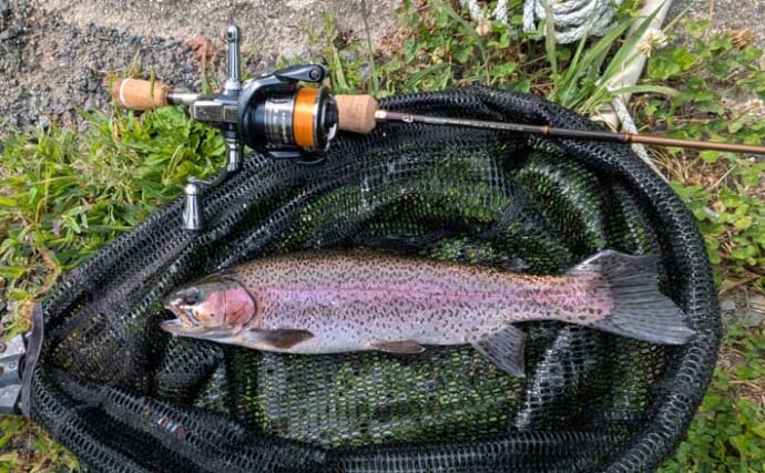 「表層マイクロが切り札！」夏の平谷湖フィッシングスポットでエリアトラウト攻略【長野】