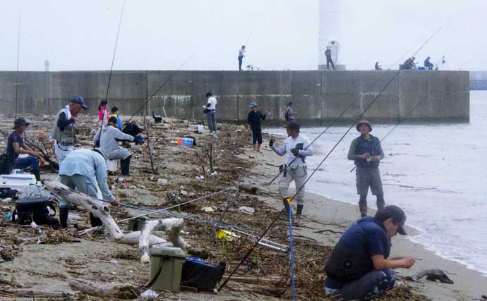 吉崎海岸のちょい投げ釣りでシロギス22匹キャッチ【三重】濁りとゴミをかわして好釣