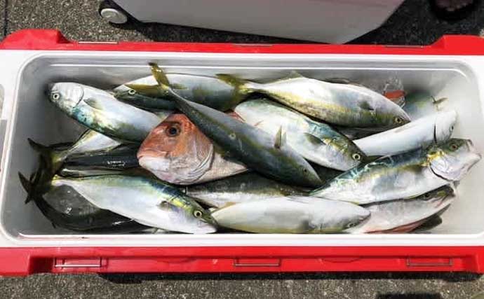 【沖釣り釣果速報】クエ狙いの出船で19kg浮上！タテ釣りではヒラメやマダイも好調（三重）