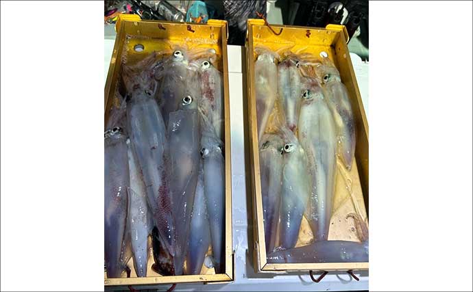 【沖釣り釣果速報】富山湾のリレー便でアマダイ爆釣！アカムツ不発もオニカサゴ交じり土産十分（北陸）