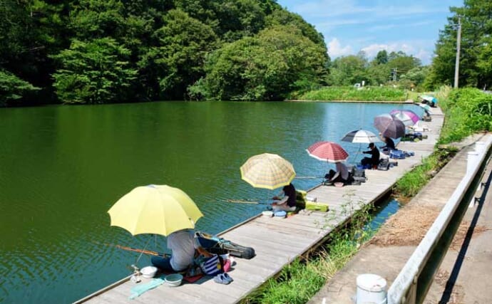 今週のヘラブナ推薦釣り場2025【長野県・田川浦湖】