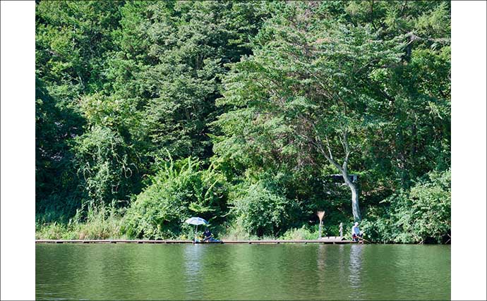 今週のヘラブナ推薦釣り場2025【長野県・田川浦湖】