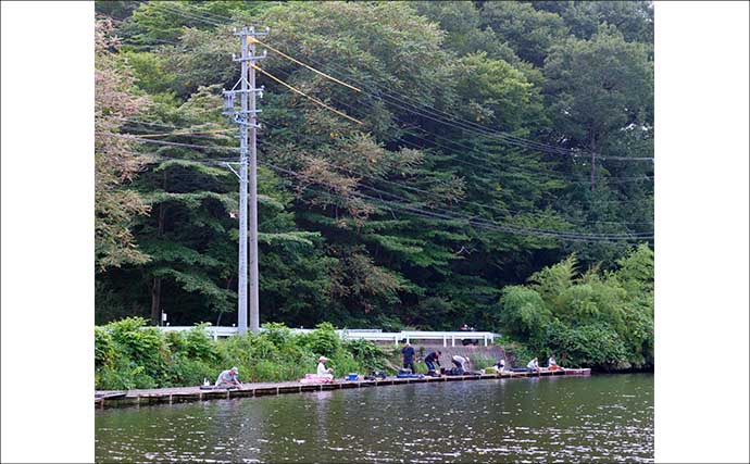 今週のヘラブナ推薦釣り場2025【長野県・田川浦湖】