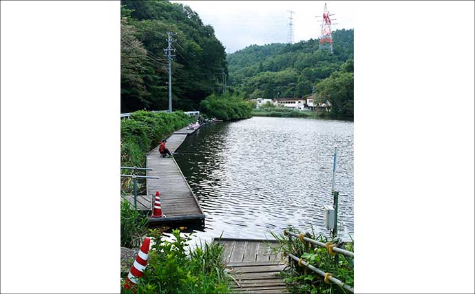 今週のヘラブナ推薦釣り場2025【長野県・田川浦湖】