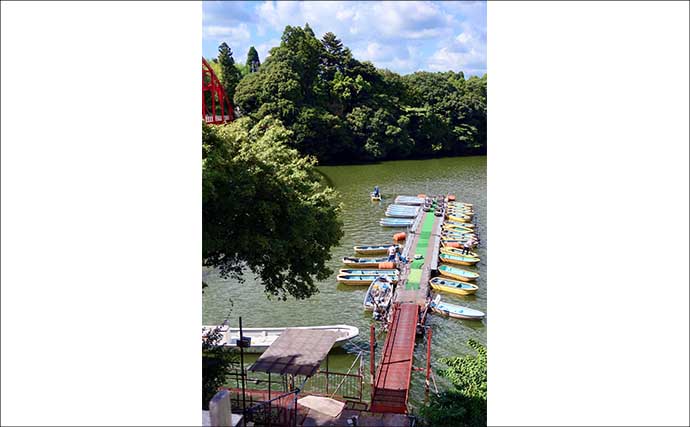 吉田康雄のザ・チャレンジへらぶな【ヤスオの夏休みin亀山湖 #1】