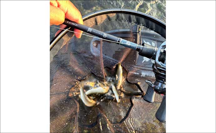 「2時間半で8尾！」相模川チャラ瀬のアユルアー釣りで小気味よいアタリ連発【神奈川】