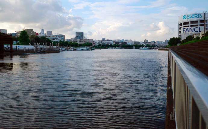 「夕マヅメにハゼ34匹！」勝島運河のウキ流し釣りで11cm級を頭に数釣り満喫【東京】
