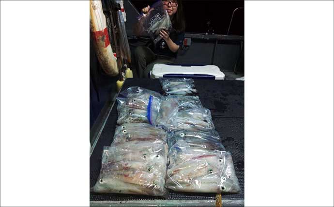 【沖釣り釣果速報】玄界灘の夜焚きイカ釣りで釣る人三桁続出！良型・パラソル級も登場（福岡）