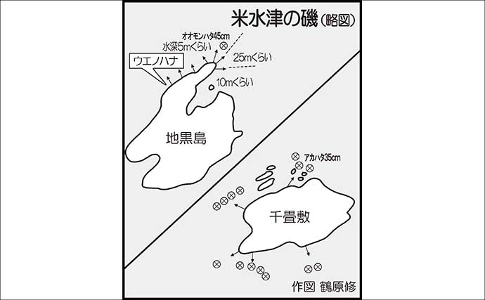 沖磯ロックフィッシュゲームで45cmオオモンハタ浮上！【大分・米水津】アカハタ入れ食いも堪能
