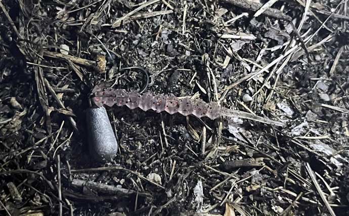 セリアのアジングワームを川で使ってみたら想定外の魚がヒット【愛知・豊田市水源公園】