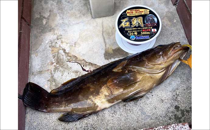 夜の地磯での底物釣りでクエ3尾！【山口】スタンディングファイトでキャッチ