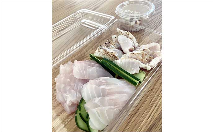 夜の地磯での底物釣りでクエ3尾！【山口】スタンディングファイトでキャッチ