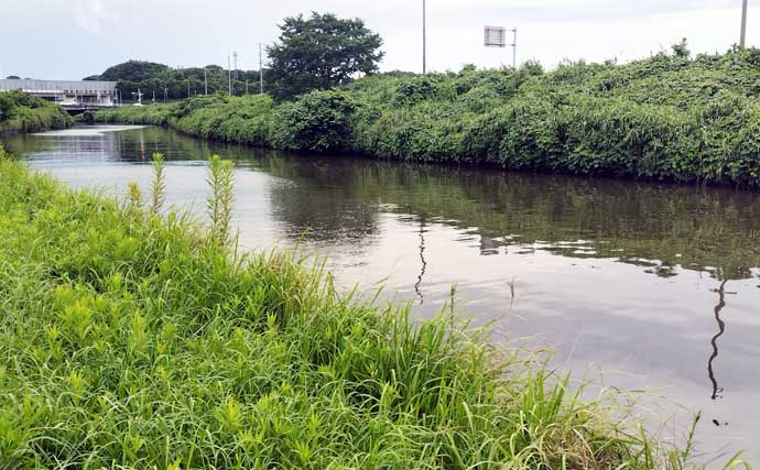 「釣り場に危機迫る？」マダニが媒介する感染症『SFTS』が過去最多！ 生息域を知っておこう