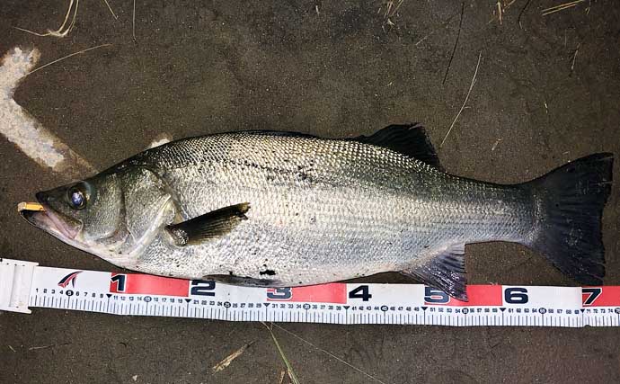 「釣り場に危機迫る？」マダニが媒介する感染症『SFTS』が過去最多！ 生息域を知っておこう