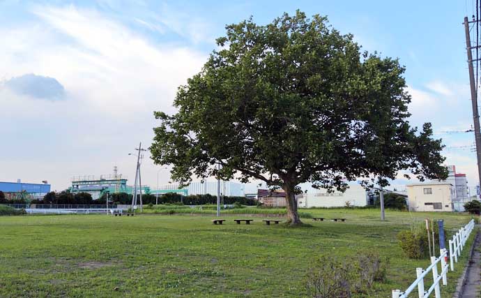 「釣り場に危機迫る？」マダニが媒介する感染症『SFTS』が過去最多！ 生息域を知っておこう