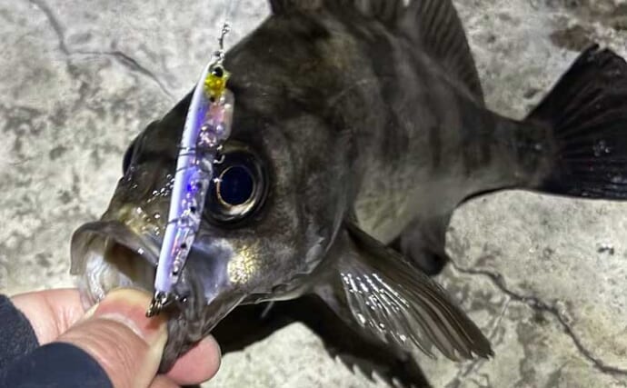 「ルアーの良し悪しは何で決まる？」最終的な基準は自分のフィーリングでOK