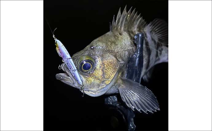 「ルアーの良し悪しは何で決まる？」最終的な基準は自分のフィーリングでOK