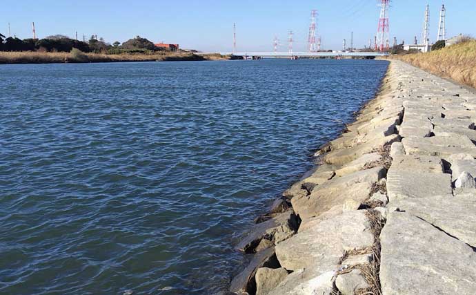 東京湾奥河川でクロダイやシーバスが大量死【千葉・養老川】少ない降水量と高水温が原因か