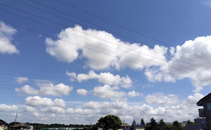 東京湾奥河川でクロダイやシーバスが大量死【千葉・養老川】少ない降水量と高水温が原因か