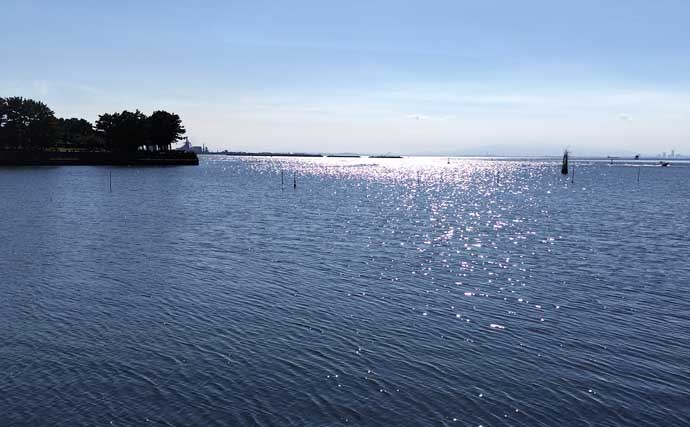 東京湾奥河川でクロダイやシーバスが大量死【千葉・養老川】少ない降水量と高水温が原因か